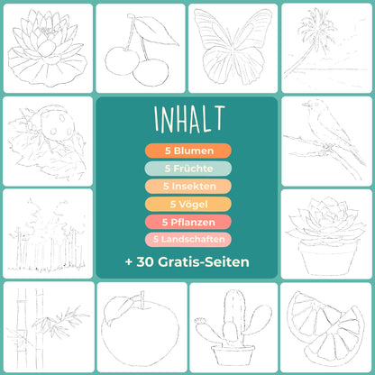 Anfänger-Übungsbuch